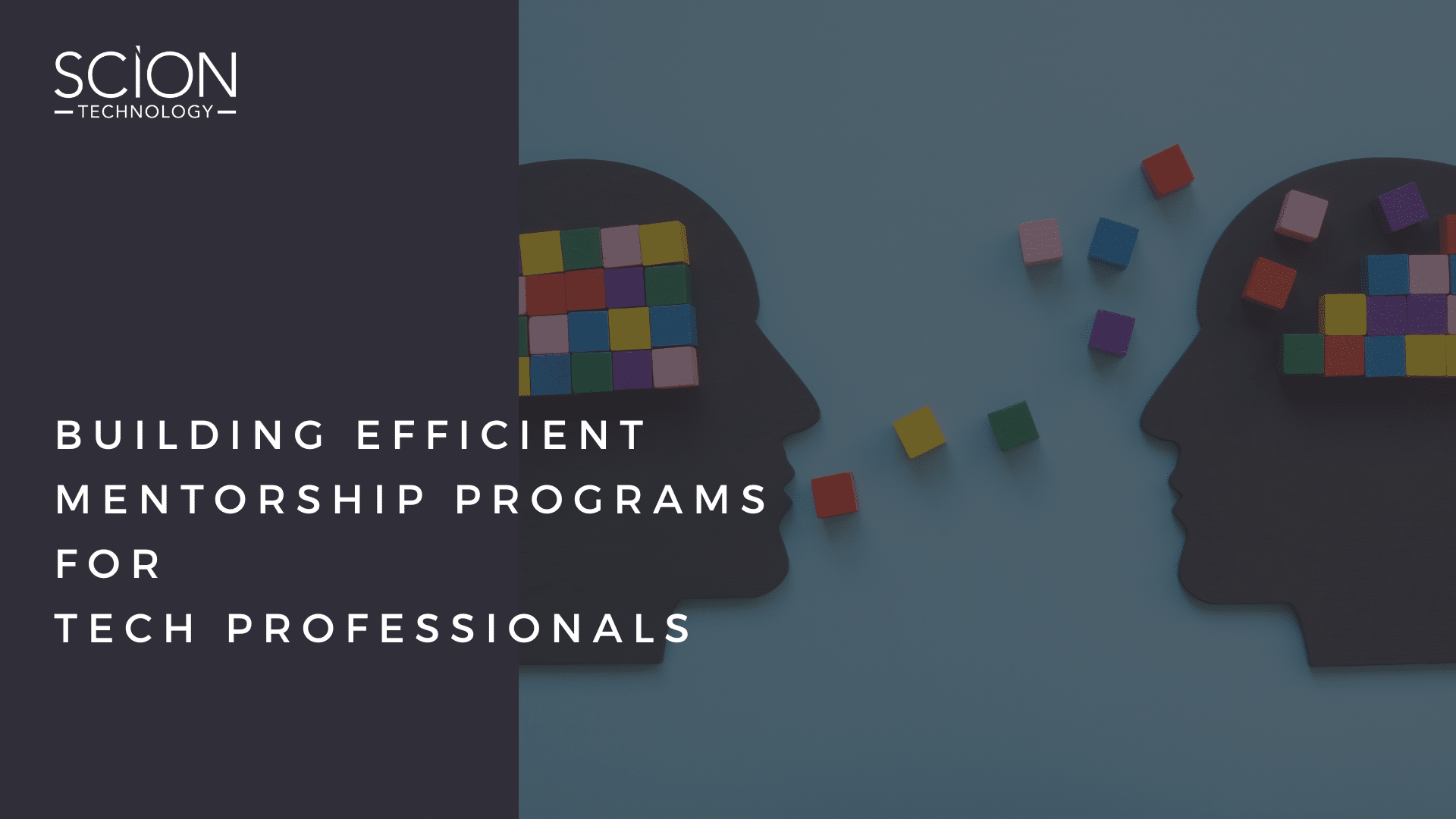 Mentorship Programs for Tech Professionals